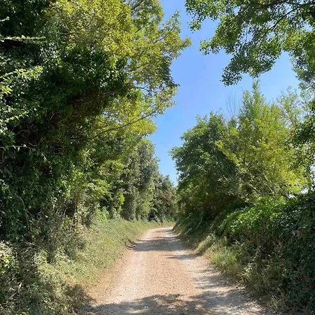 Nature Escape Hébergement de vacances Rovinj